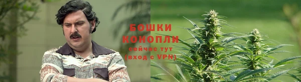 прущий лед Ладушкин