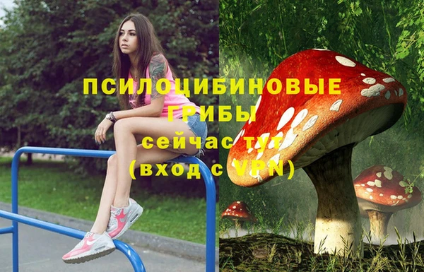 прущий лед Ладушкин