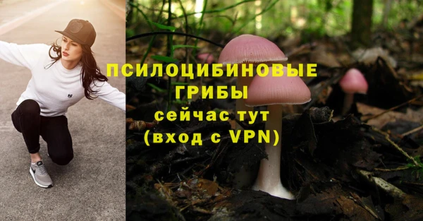 прущий лед Ладушкин