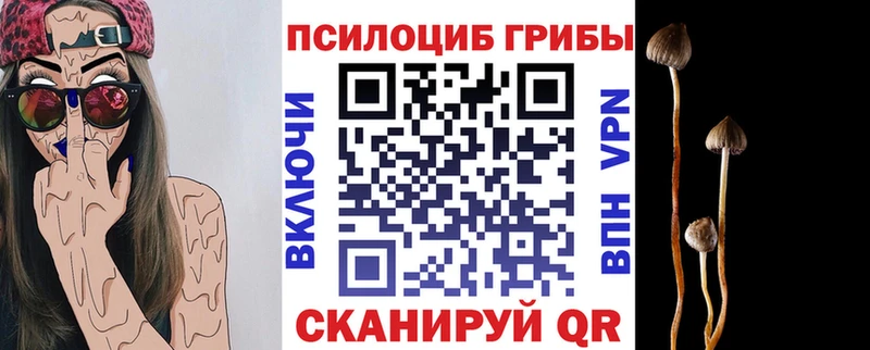 Галлюциногенные грибы Cubensis  Нестеров 